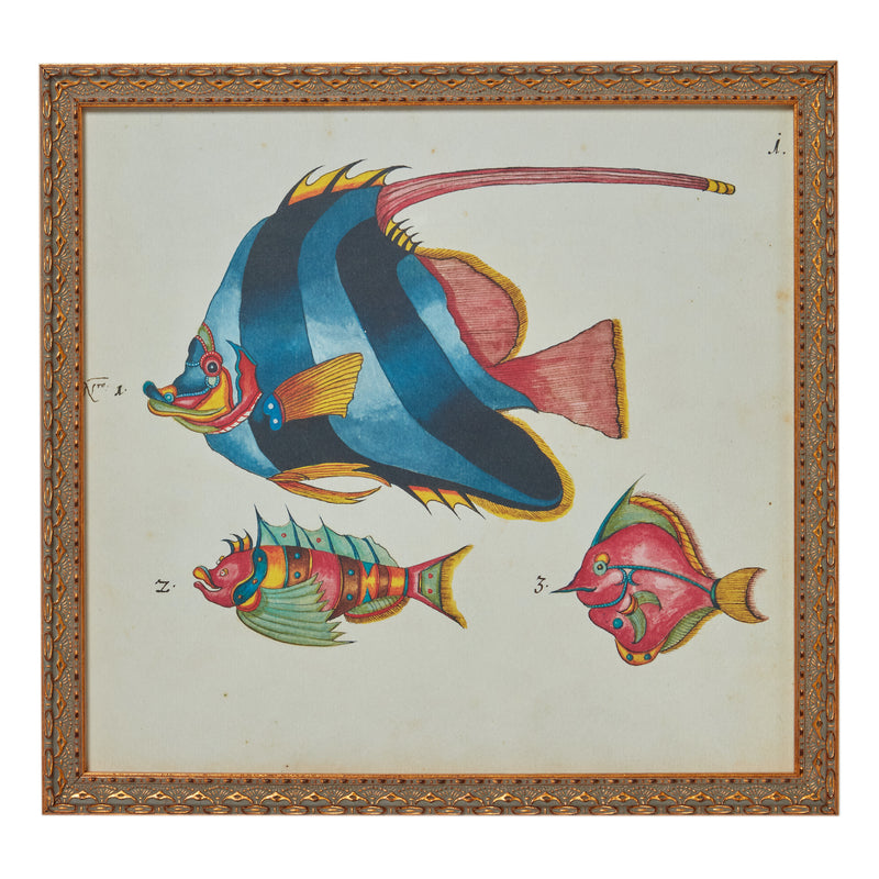 19th c. French Fish Bookplate No. 1