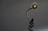 Papaver iv