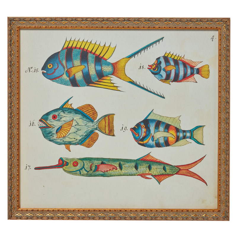 19th c. French Fish Bookplate No. 4