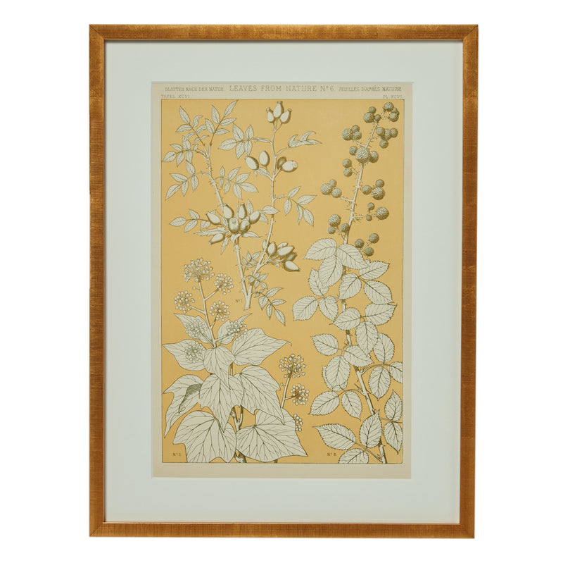 Leaves From Nature Lithograph