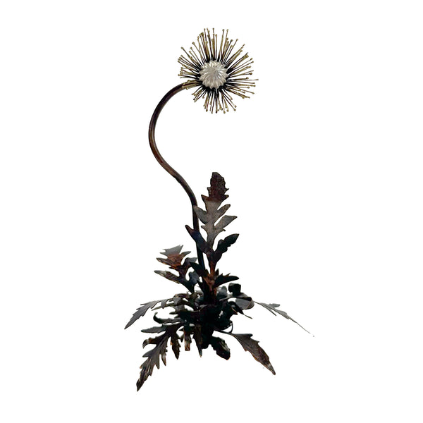 Papaver iv