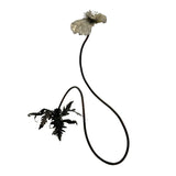Papaver vi