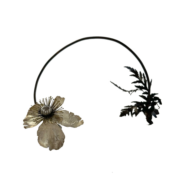 Papaver vii